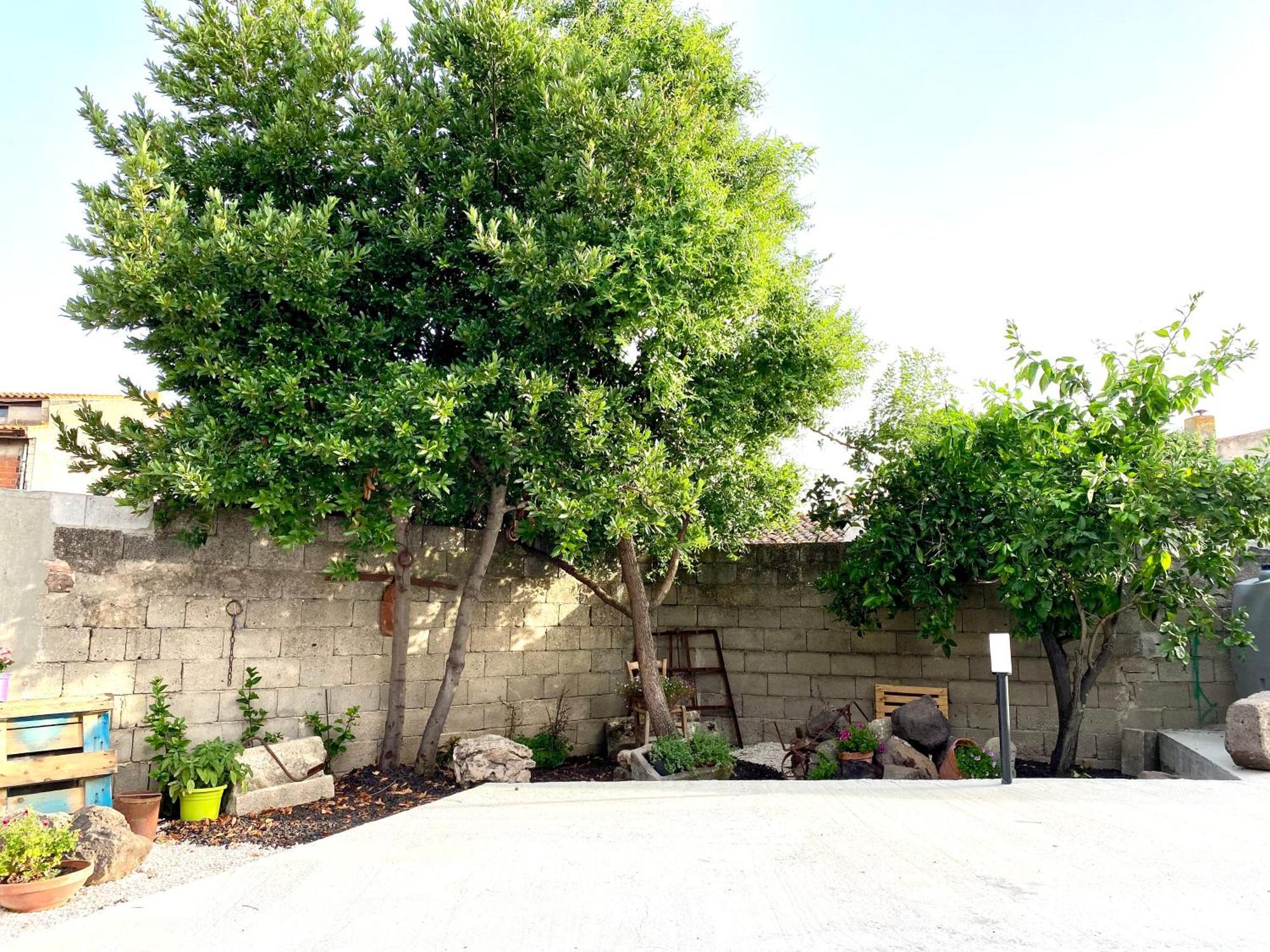 Casa Mora Apartment San Vero Milis Exterior photo