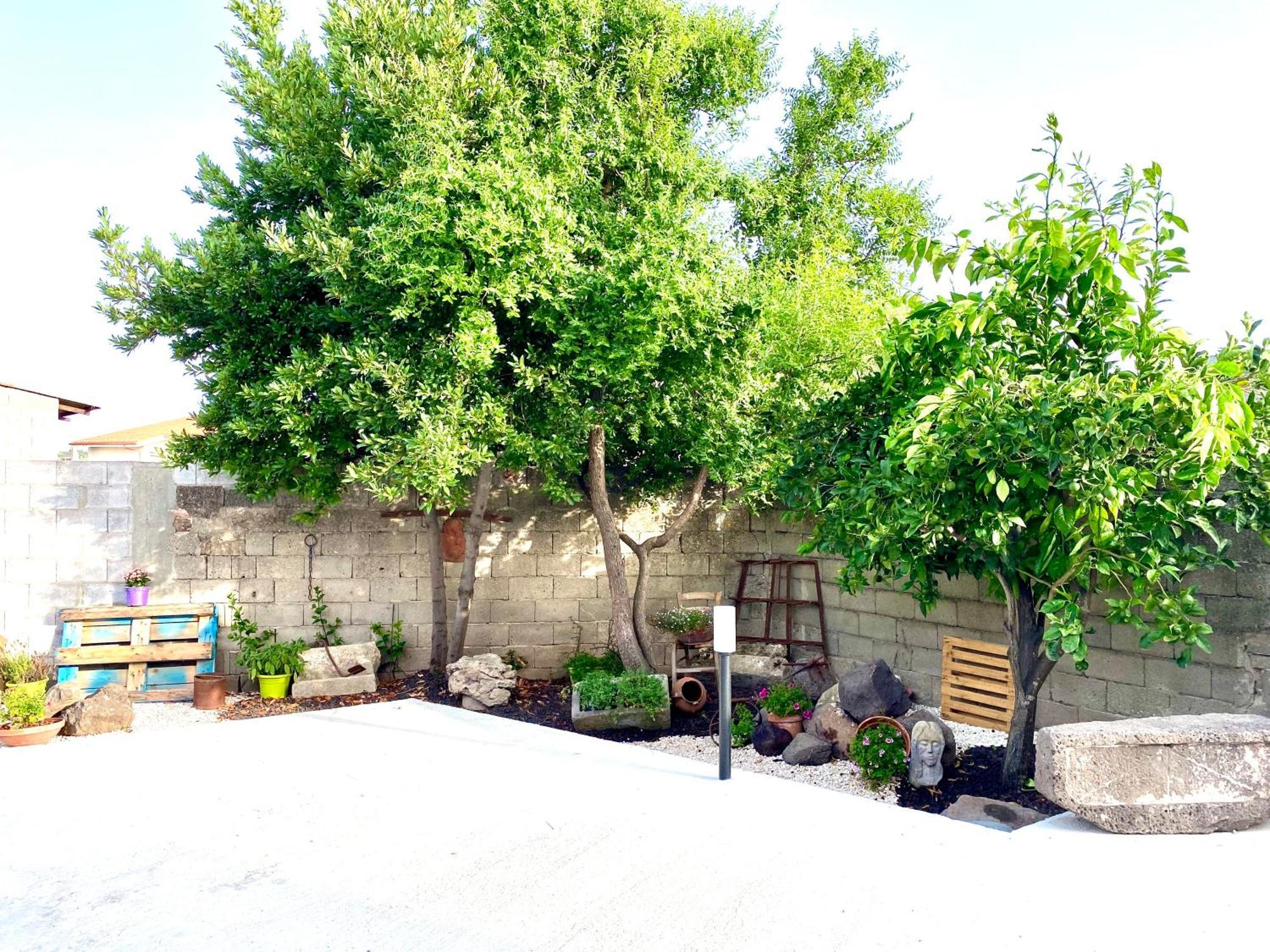 Casa Mora Apartment San Vero Milis Exterior photo